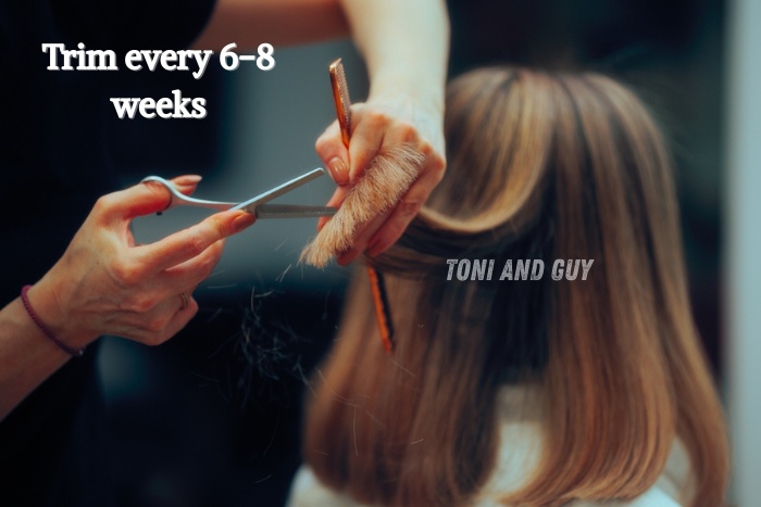 Professional hair trimming service at Toni & Guy Coimbatore to maintain healthy hair every 6–8 weeks