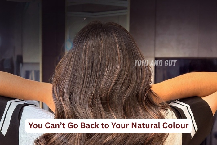 Toni & Guy Coimbatore-Expert hair colour correction and styling showcasing natural-to-treated hair transformation