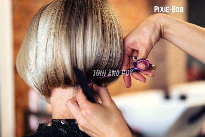 Pixie-bob haircut transformation at Toni & Guy Coimbatore by expert professional hairstylists